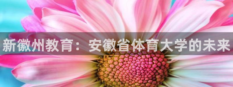 新徽州教育：安徽省体育大学的未来