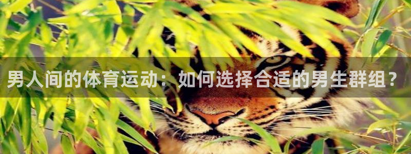 男人间的体育运动：如何选择合适的男生群组？