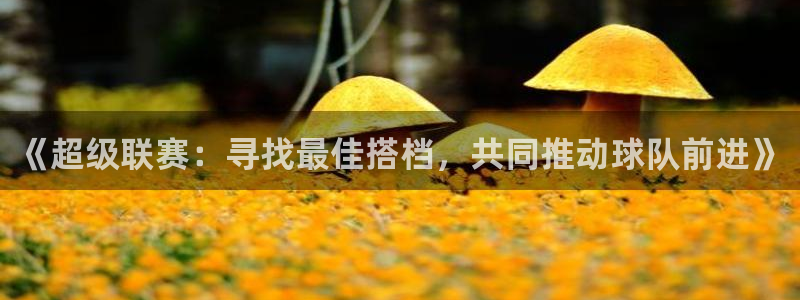 《超级联赛：寻找最佳搭档，共同推动球队前进》