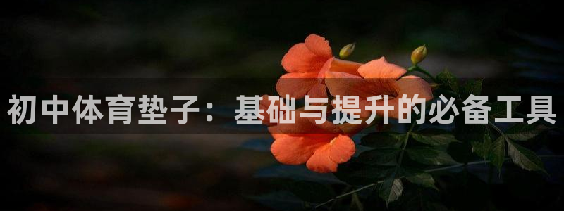 初中体育垫子：基础与提升的必备工具