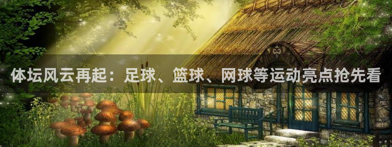 体坛风云再起：足球、篮球、网球等运动亮点抢先看